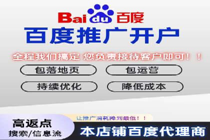 百度信息流广告推广：成功案例解析